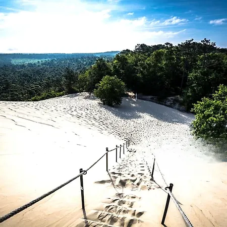 Appartement Le Petit Bassin La Teste-de-Buch