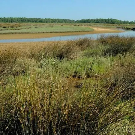 Le Petit Bassin * La Teste-de-Buch