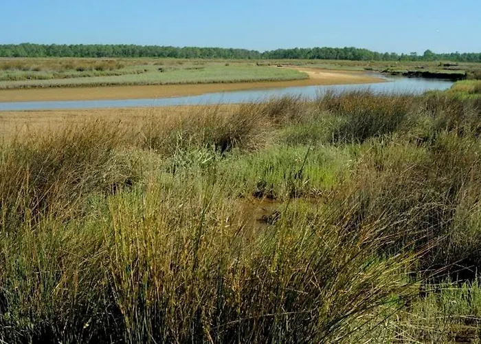 Vaste 3 Personnes Avec Balcon Et Parking * לה-טסט-דה-בוש